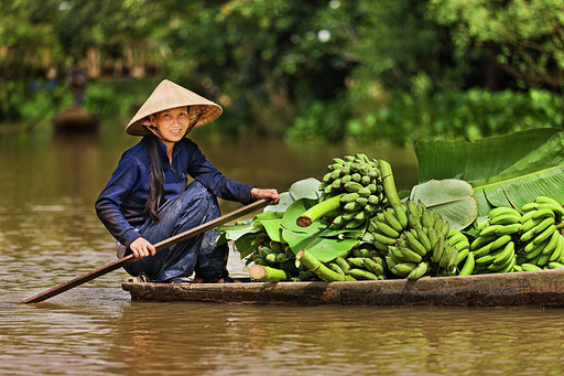 Vietnamese woman rowing  boat in the Mekong River Delta, Vietnam