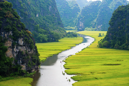 Rice field and river in NinhBinh, Vietnam